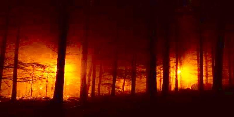 Black Magic Removal Specialist Bengali Baba Ji in india